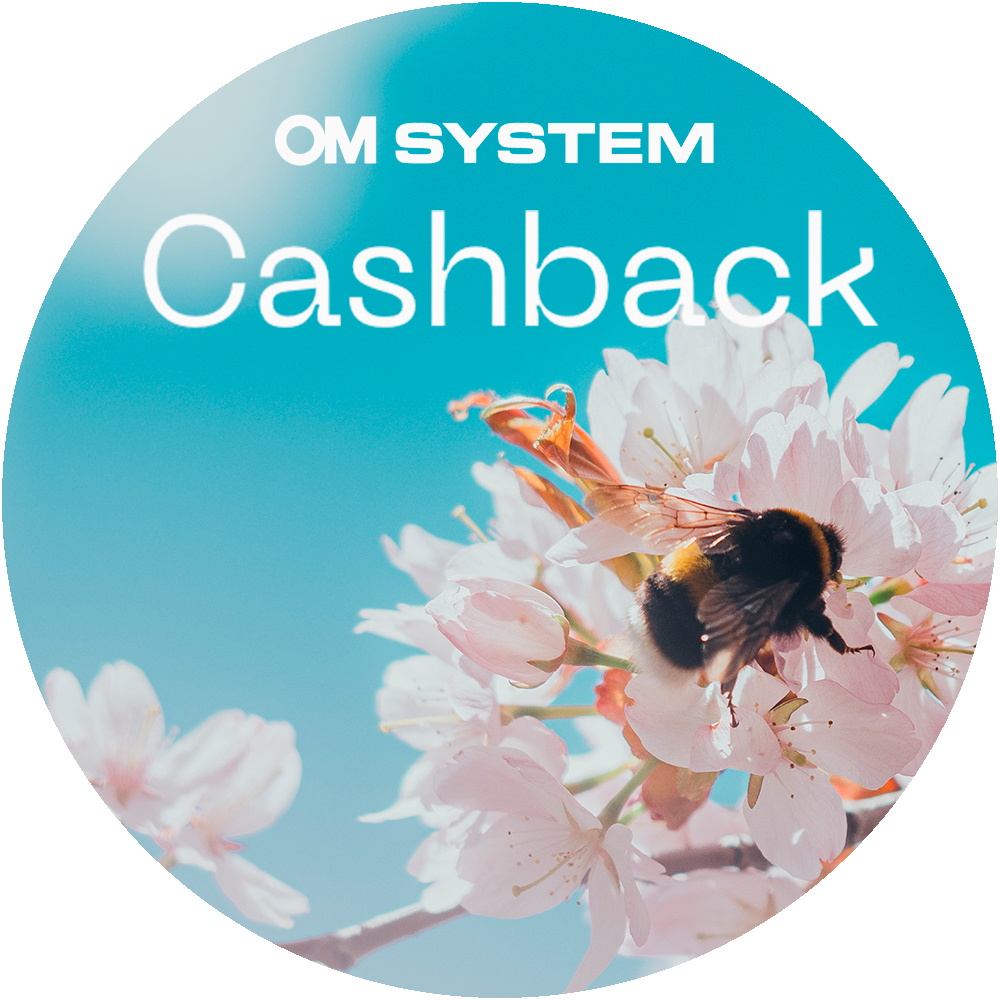 OM SYSTEM OM-1 Mark II + M.Zuiko 100-400mm f/5-6.3 ED IS II -järjestelmäkamera