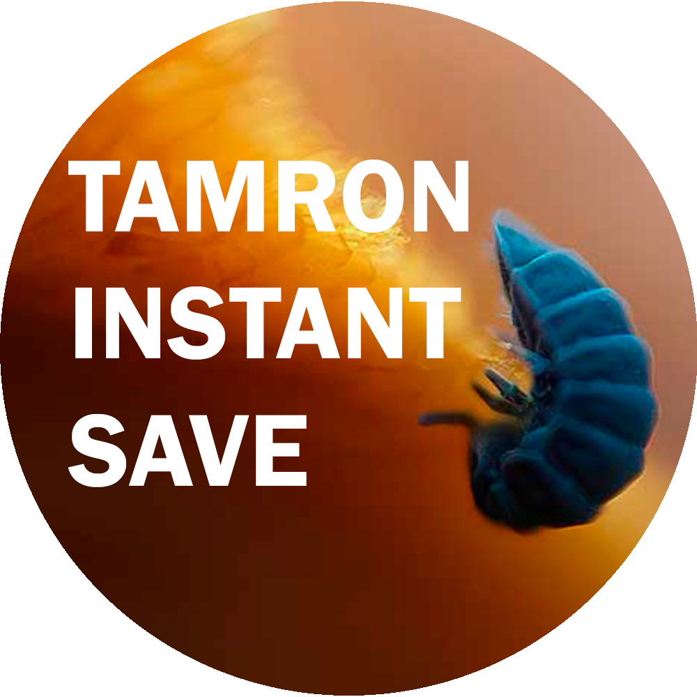 Tamron 90mm f/2.8 Di III Macro VXD, Nikon Z + Nanlite Pavotube II 6C 1-Kit RGBWW