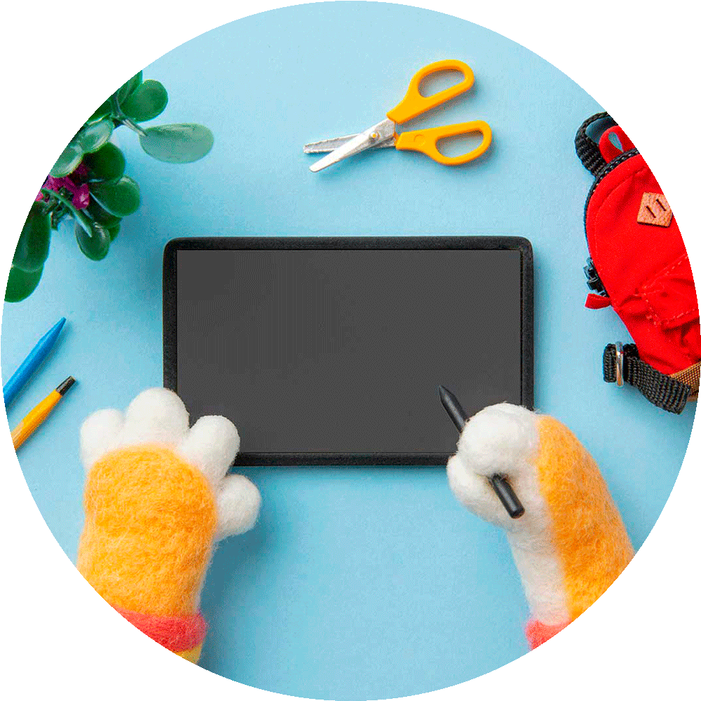 Wacom Cintiq 16 -piirtonäyttö (2025)