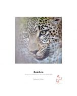 Hahnemuehle Bamboo Paperi 290gsm A2 / 25
