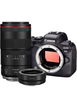 Canon EOS R6 + RF 100mm f/2.8 L Macro IS USM + EF - EOS R -adapteri