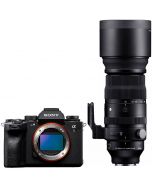 Sony A1 + Sigma 150-600mm f/5-6.3 S DG DN OS -järjestelmäkamera