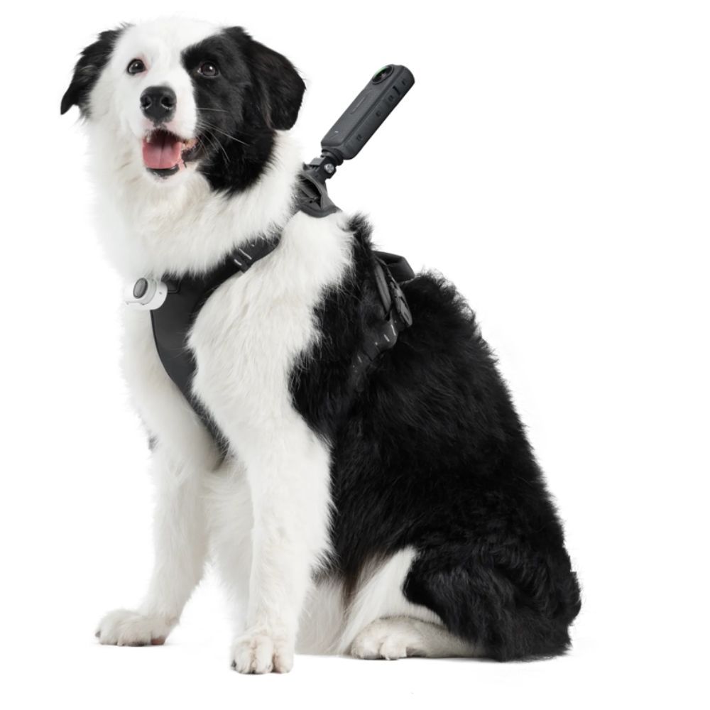 Insta360 Pet Harness Mount lemmikkivaljaiden kiinnike, koko L