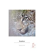 Hahnemuehle Bamboo Paperi 290gsm A2 / 25