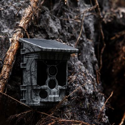 Caruba Raccoon Solar 4K Wildlife Camera -riistakamera Rajala Pro