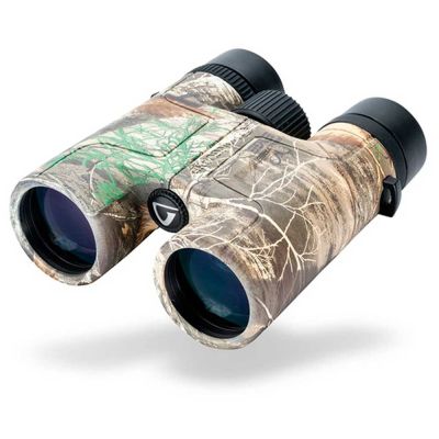 Vanguard Vesta 10x42 RT