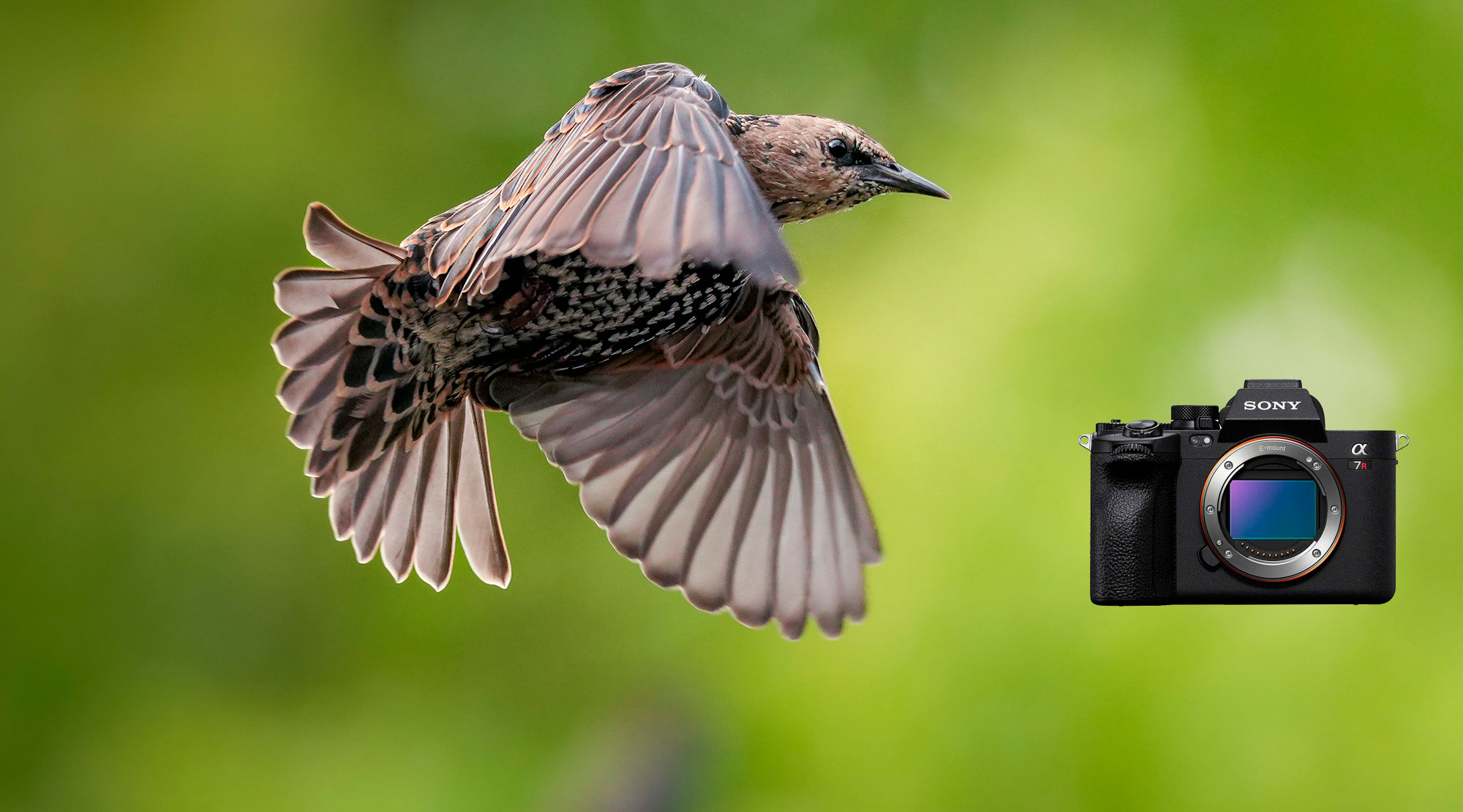 Sony A7R Mark V Lisähyvityskampanja 23.6.-30.9.2023