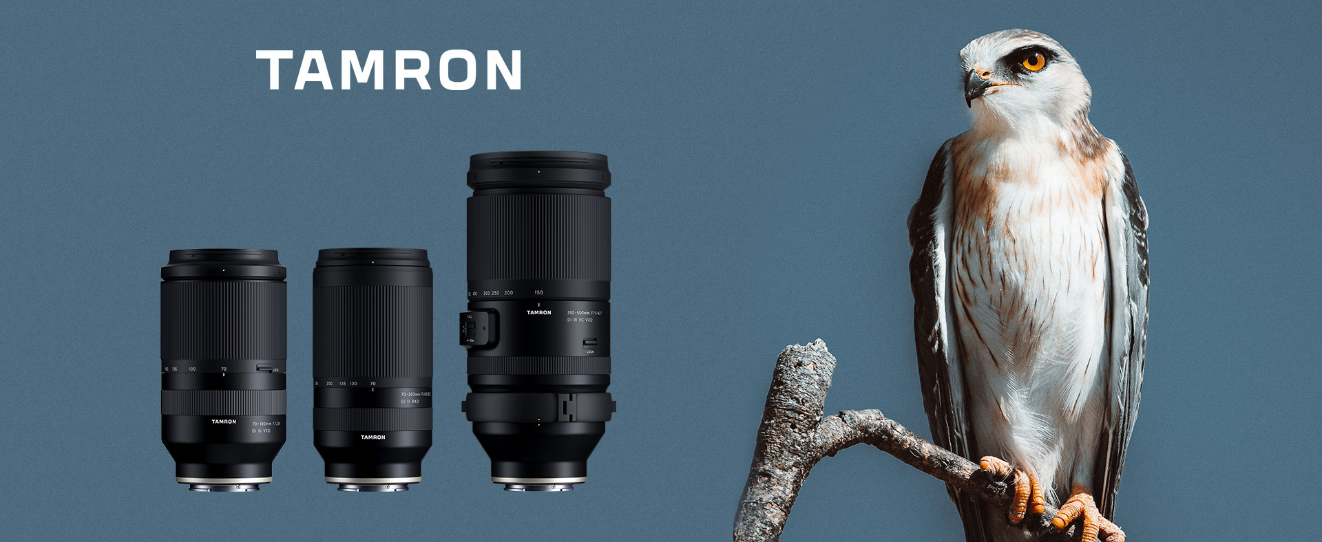 Tamron_1