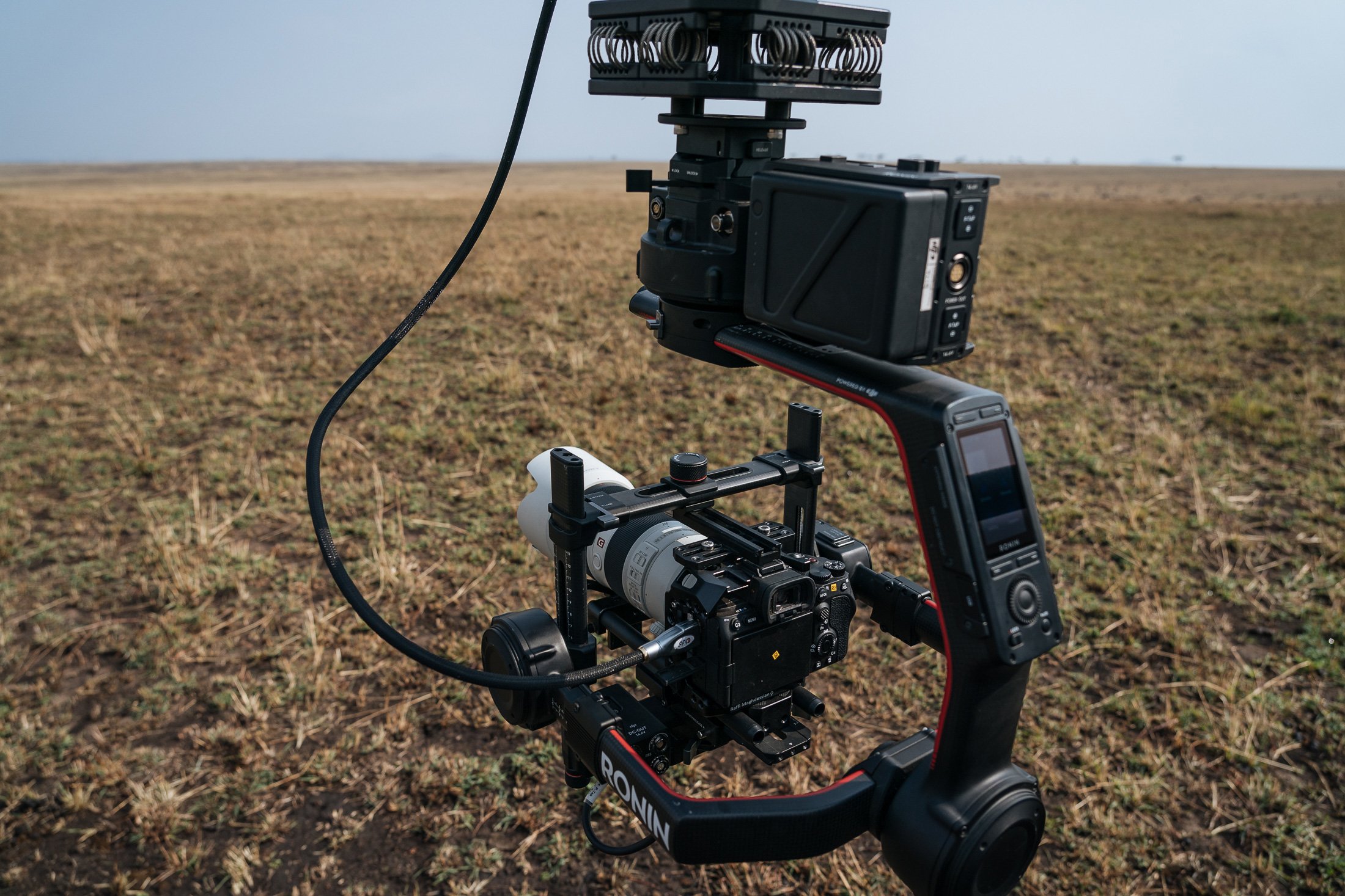 Serengetiä kuvaamassa Sony A7S III:lla