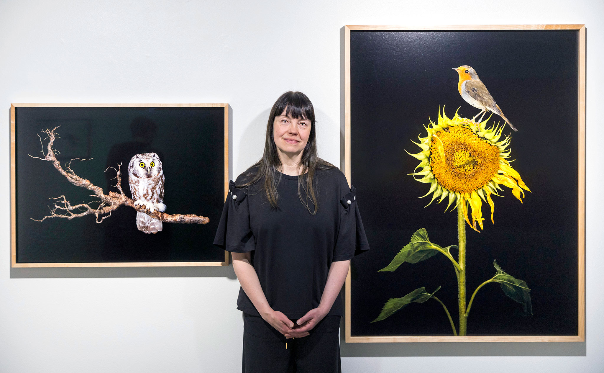 Sanna Kannisto - Lintukuiskaaja