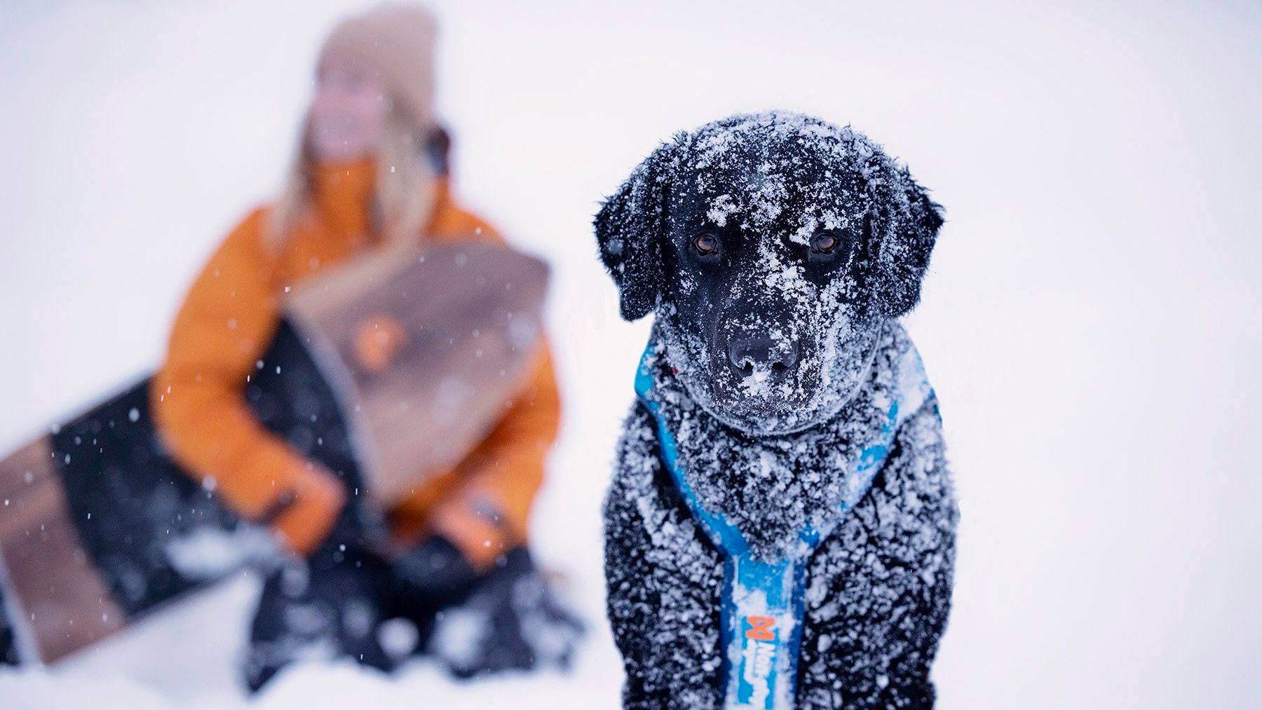 Valoa pimeydessä EOS R6 – Valontuoja