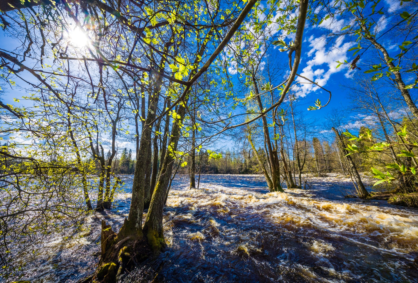 004_KuusaankoskiLaukaa_15052024_1
