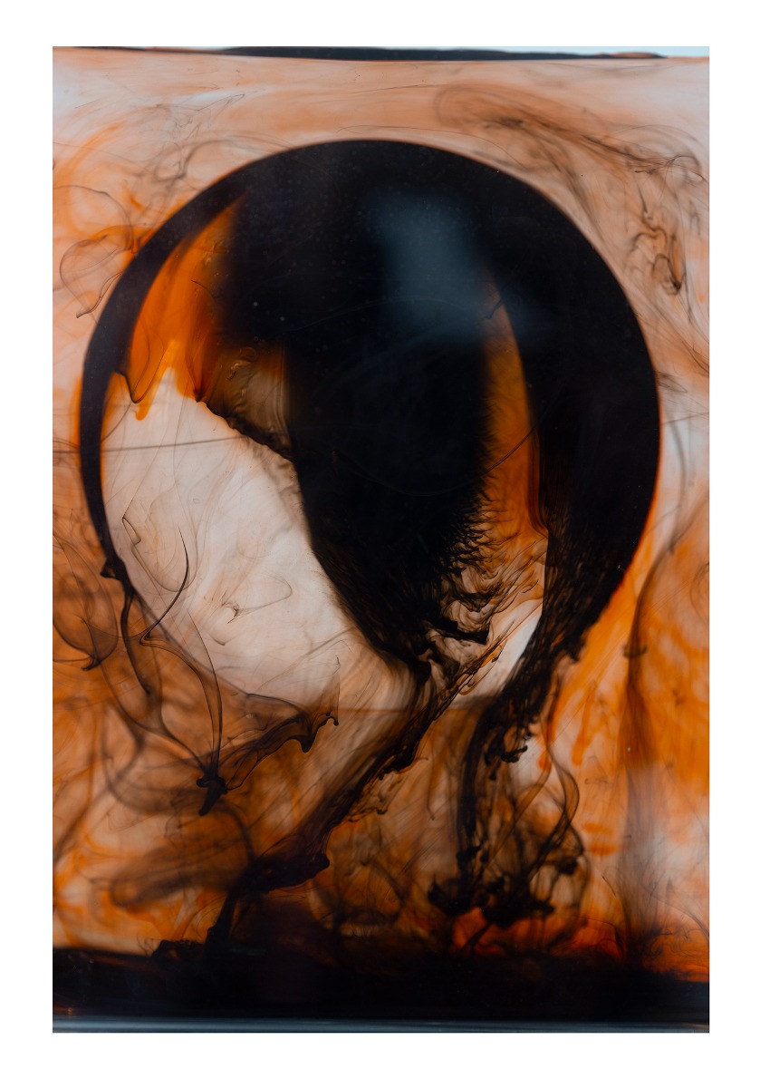 015_Laukkaava_Hevonen_sarjasta_Black_Hole_