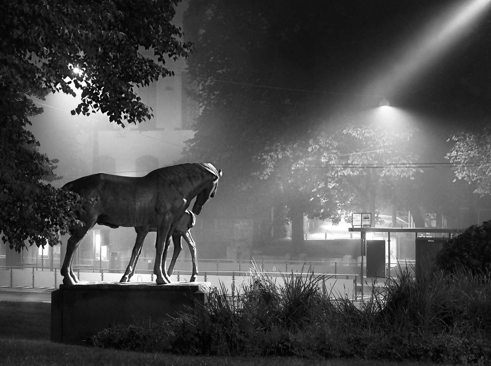 6A_Varsapuistikko_sumuyo_na_