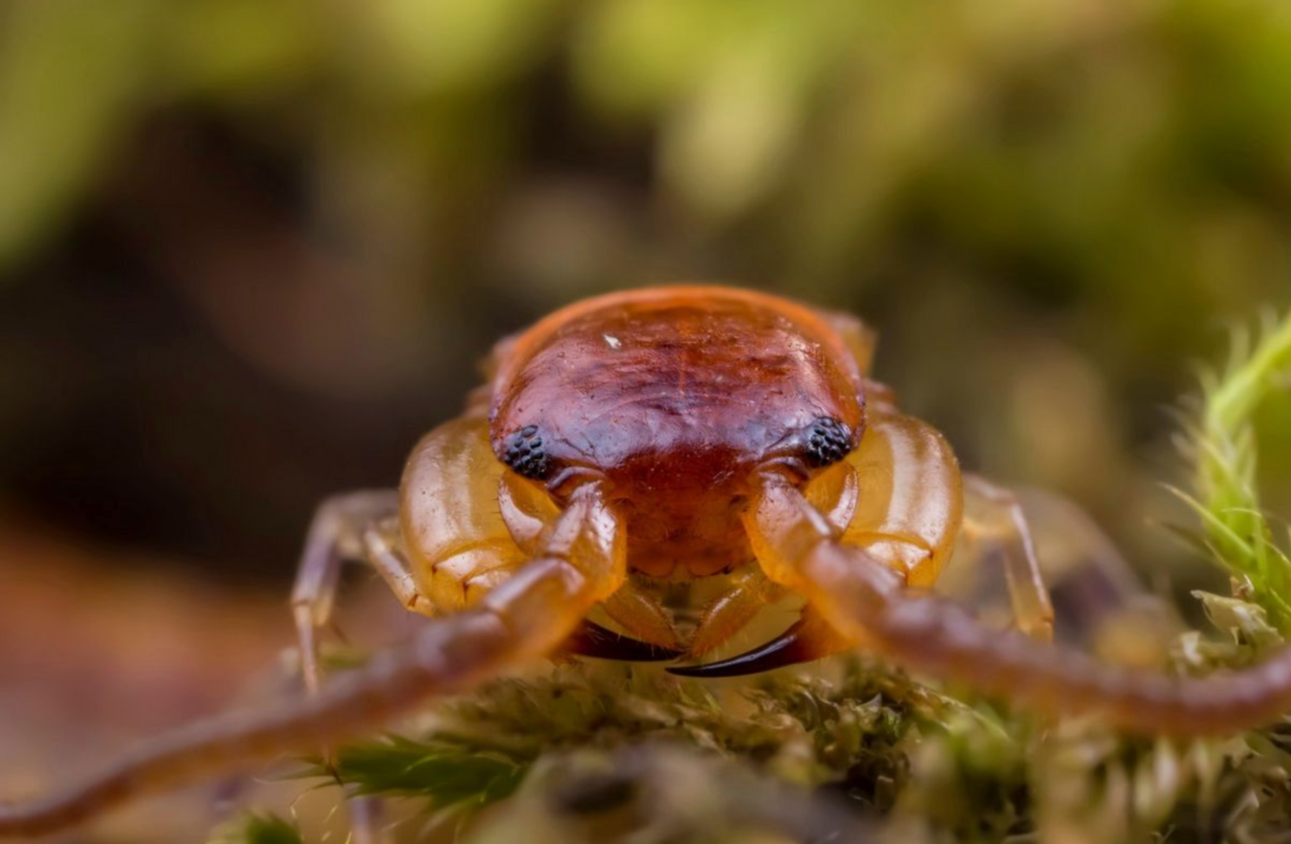 Screenshot_2020-08-25_at_16.14.55