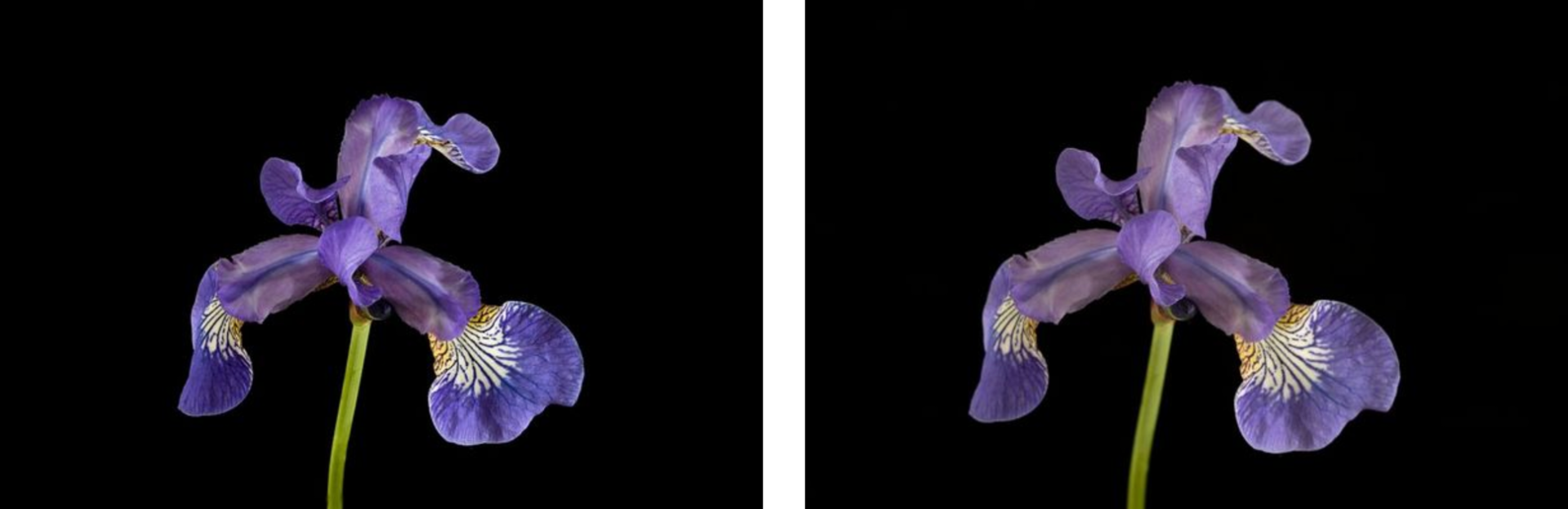 Screenshot_2020-08-25_at_16.15.18