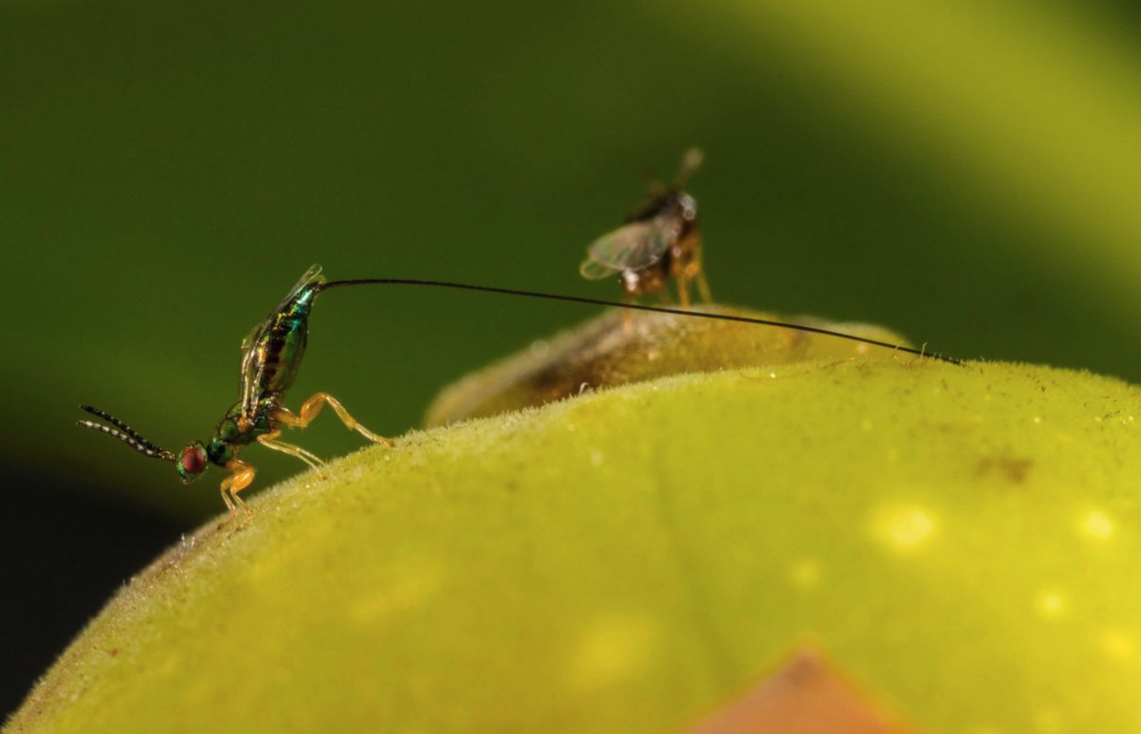 Screenshot_2020-09-03_at_16.16.52