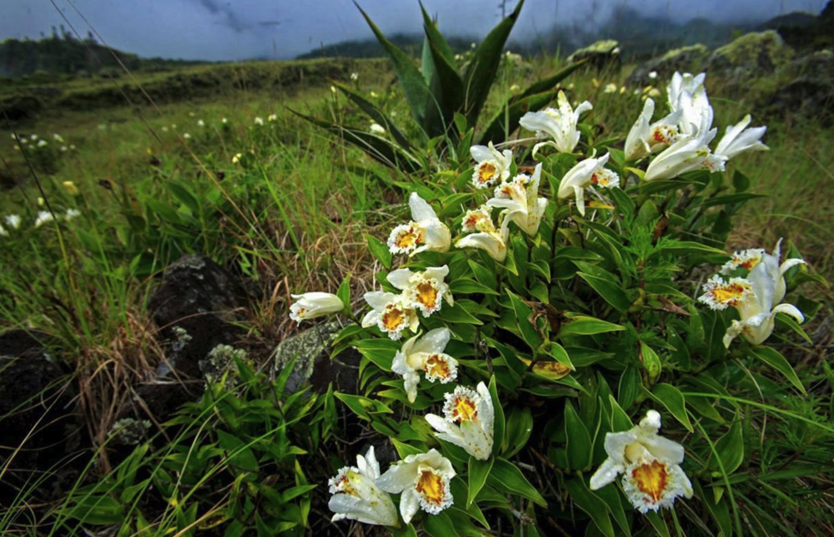 Screenshot_2020-09-03_at_16.18.02