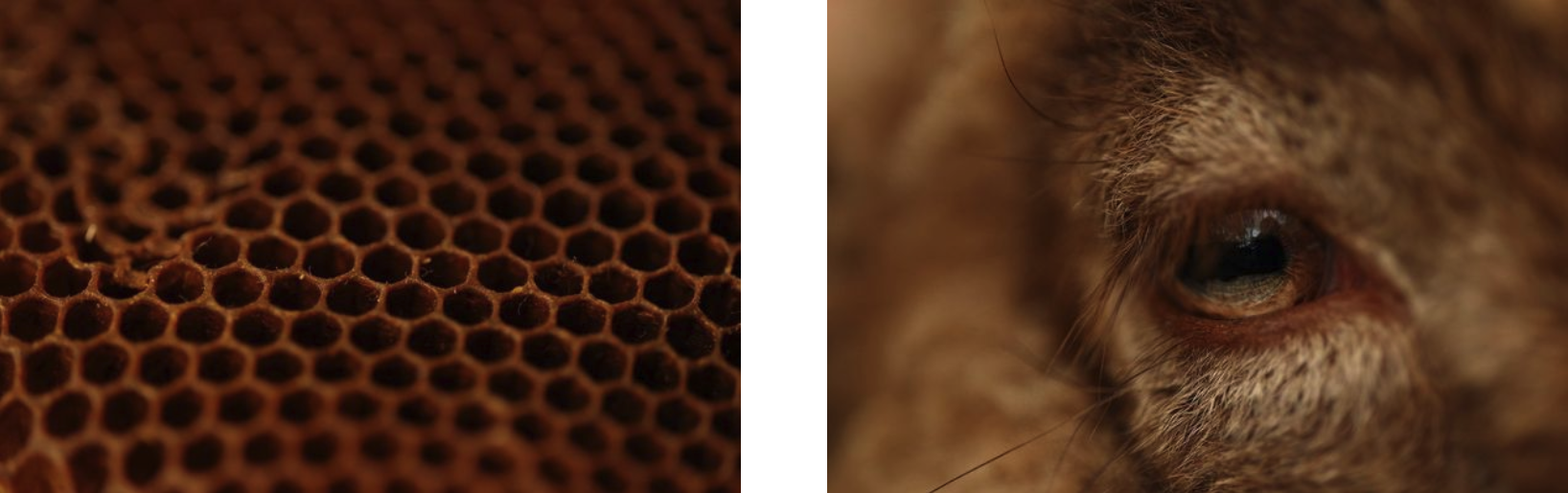 Screenshot_2020-09-03_at_16.19.24