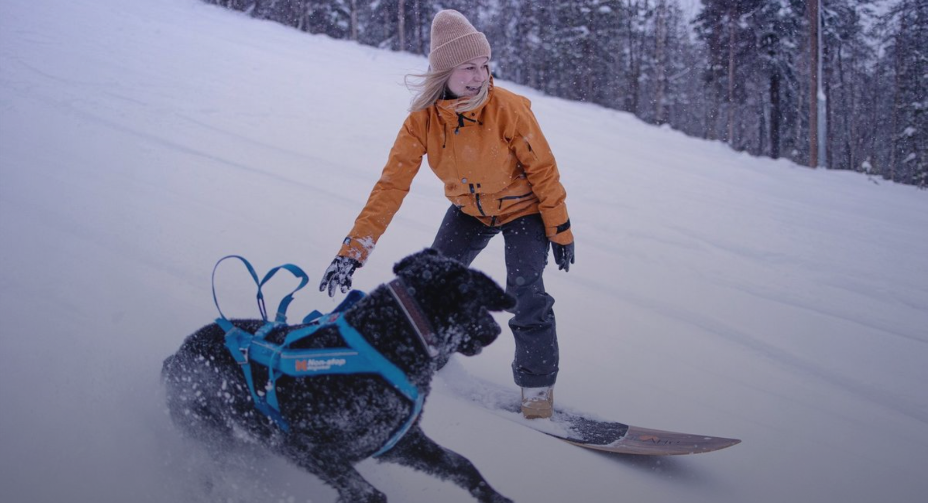 Screenshot_2021-10-07_at_12.03.30