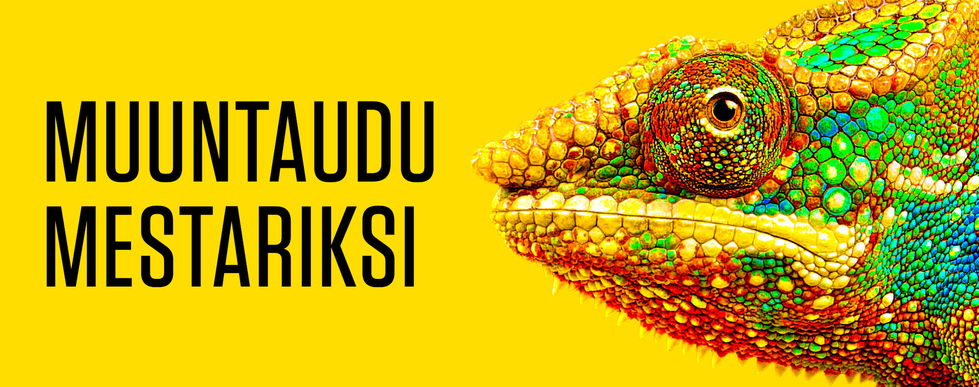 Muuntaudu-Mestariksi_PageHero