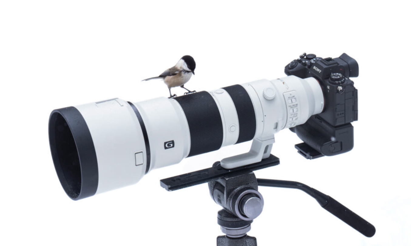 Screenshot_2025-03-04_at_13.43.12