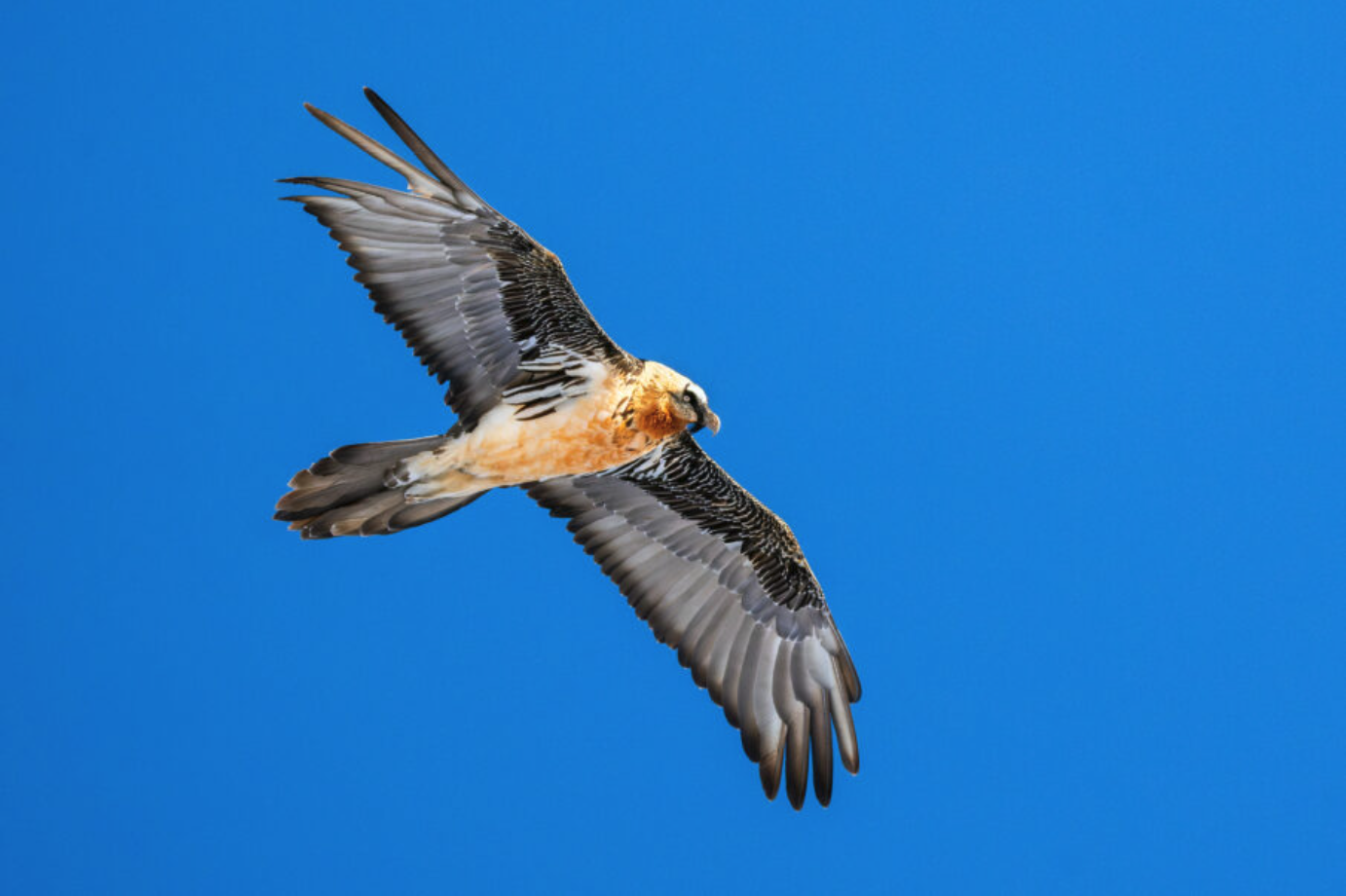 Screenshot_2025-03-04_at_13.44.30