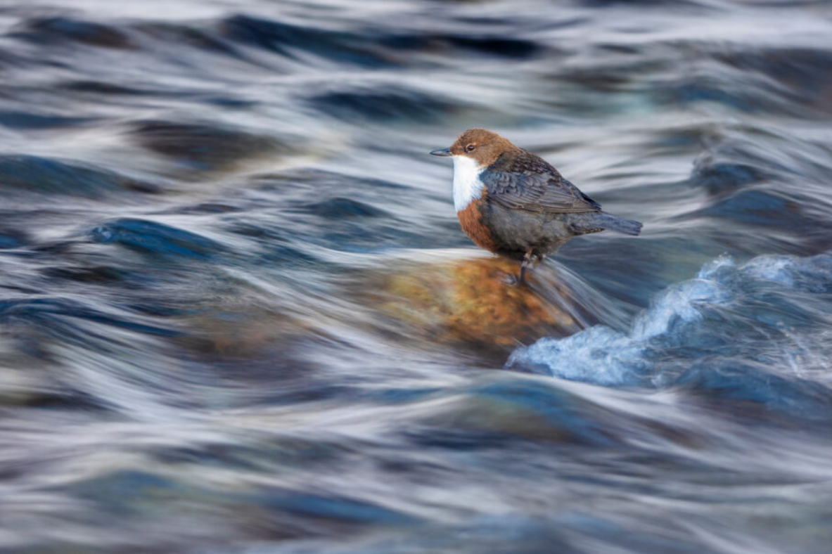 Screenshot_2025-03-04_at_13.52.12