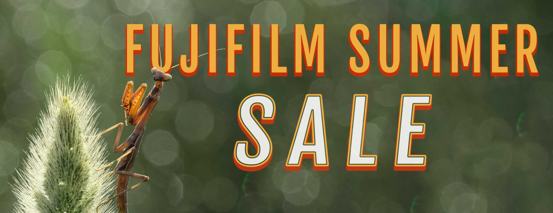 Fujifilm-Summer-Sale